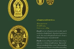 Amulet-wlps_449