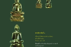 Amulet-wlps_454