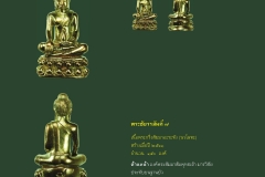 Amulet-wlps_455