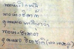 LP-veera086