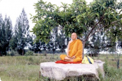 LP-veera141