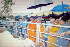 LP-veera152