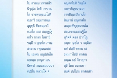LP-veera235